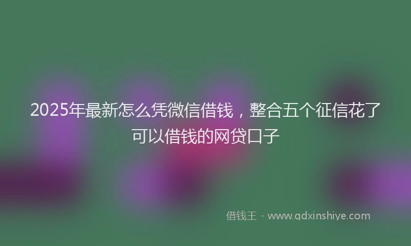2025年最新怎么凭微信借钱，整合五个征信花了可以借钱的网贷口子