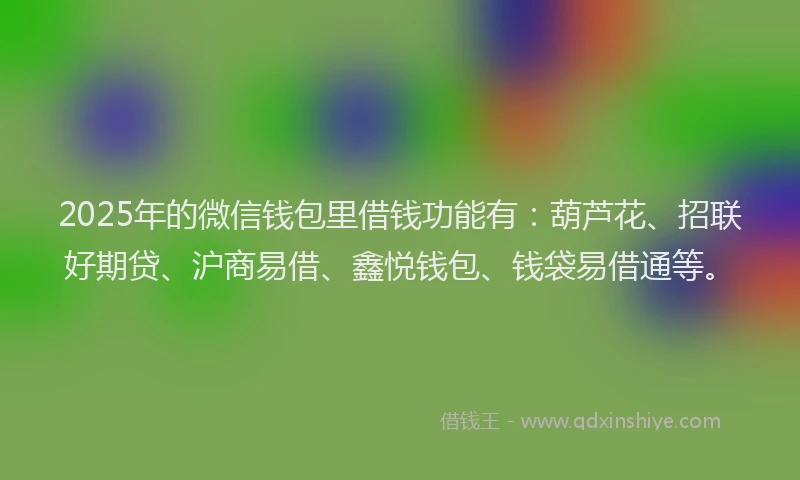 2025年的微信钱包里借钱功能有：葫芦花、招联好期贷、沪商易借、鑫悦钱包、钱袋易借通等。