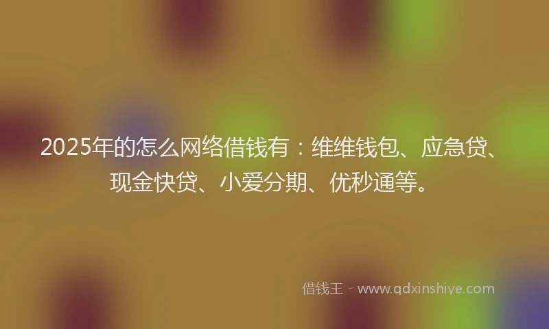 2025年的怎么网络借钱有：维维钱包、应急贷、现金快贷、小爱分期、优秒通等。