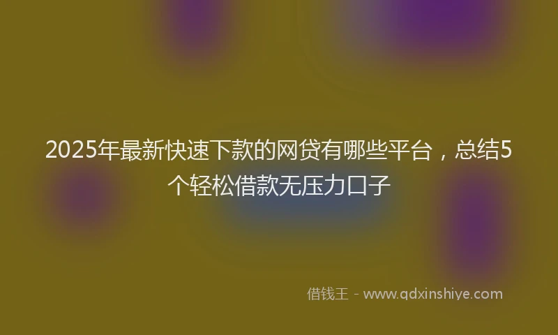 2025年最新快速下款的网贷有哪些平台，总结5个轻松借款无压力口子