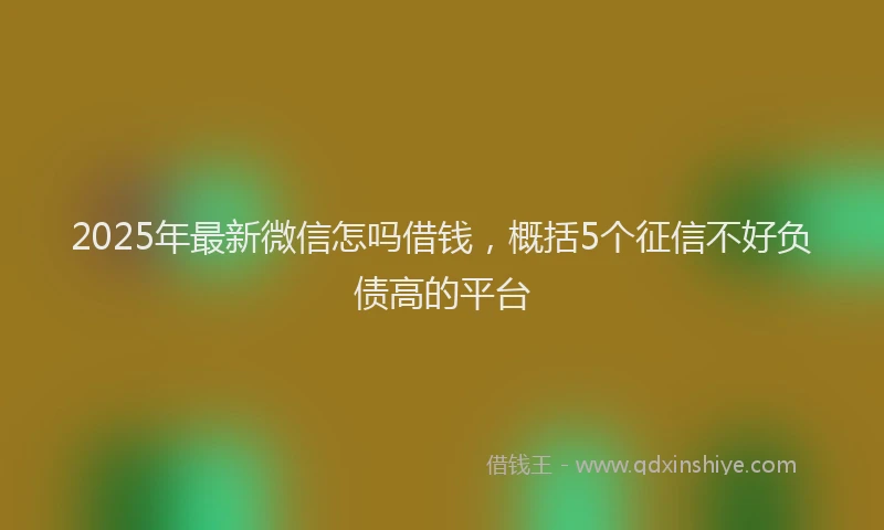 2025年最新微信怎吗借钱，概括5个征信不好负债高的平台