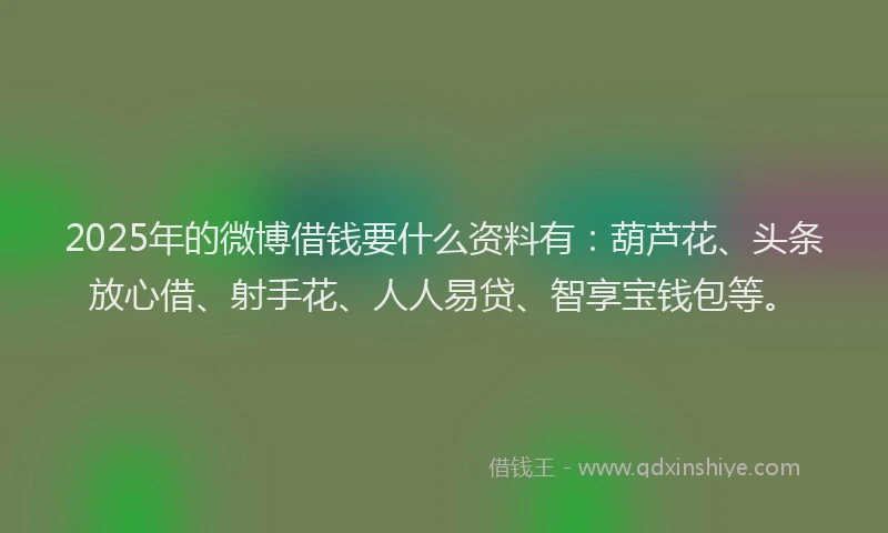 2025年的微博借钱要什么资料有：葫芦花、头条放心借、射手花、人人易贷、智享宝钱包等。