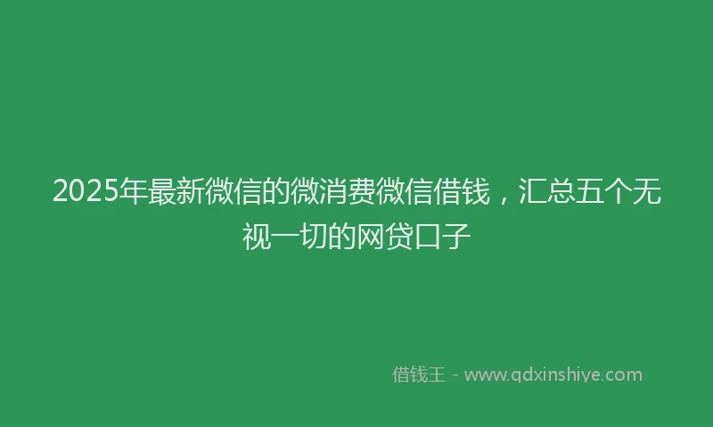 2025年最新微信的微消费微信借钱，汇总五个无视一切的网贷口子