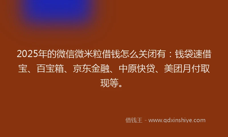 2025年的微信微米粒借钱怎么关闭有：钱袋速借宝、百宝箱、京东金融、中原快贷、美团月付取现等。