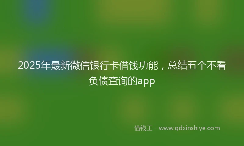 2025年最新微信银行卡借钱功能，总结五个不看负债查询的app
