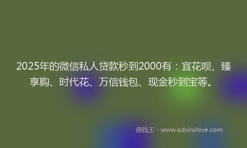 2025年的微信私人贷款秒到2000有：宜花呗、臻享购、时代花、万信钱包、现金秒到宝等。