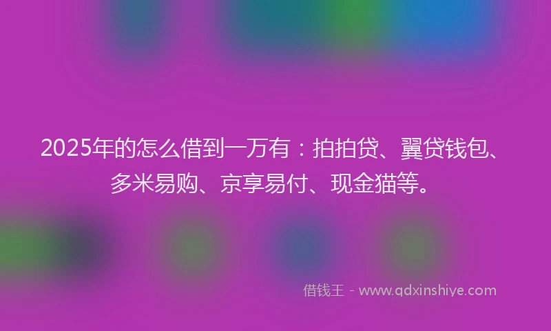 2025年的怎么借到一万有：拍拍贷、翼贷钱包、多米易购、京享易付、现金猫等。