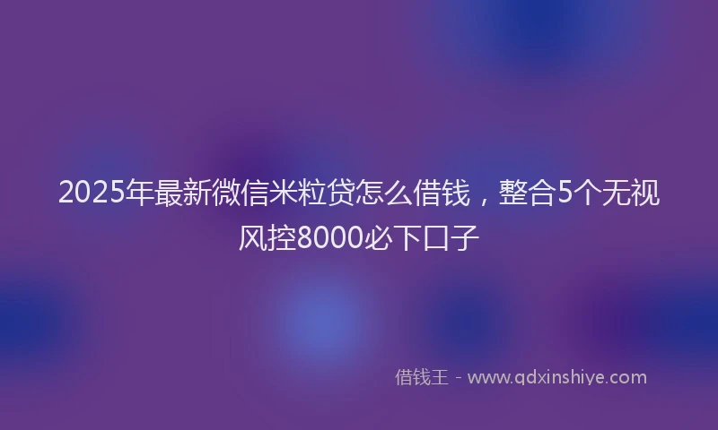 2025年最新微信米粒贷怎么借钱，整合5个无视风控8000必下口子