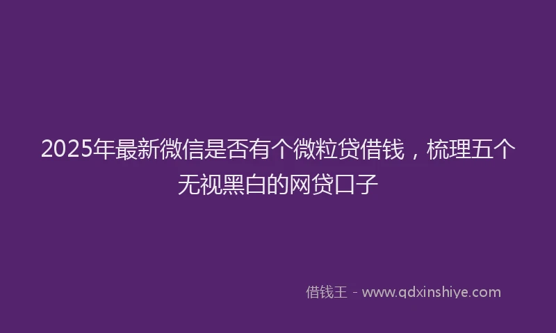 2025年最新微信是否有个微粒贷借钱，梳理五个无视黑白的网贷口子