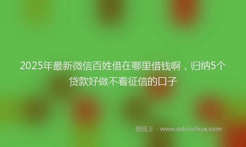 2025年最新微信百姓借在哪里借钱啊，归纳5个贷款好做不看征信的口子