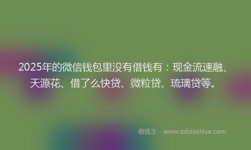 2025年的微信钱包里没有借钱有：现金流速融、天源花、借了么快贷、微粒贷、琉璃贷等。