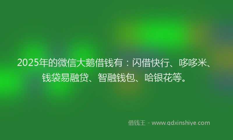 2025年的微信大鹅借钱有：闪借快行、哆哆米、钱袋易融贷、智融钱包、哈银花等。