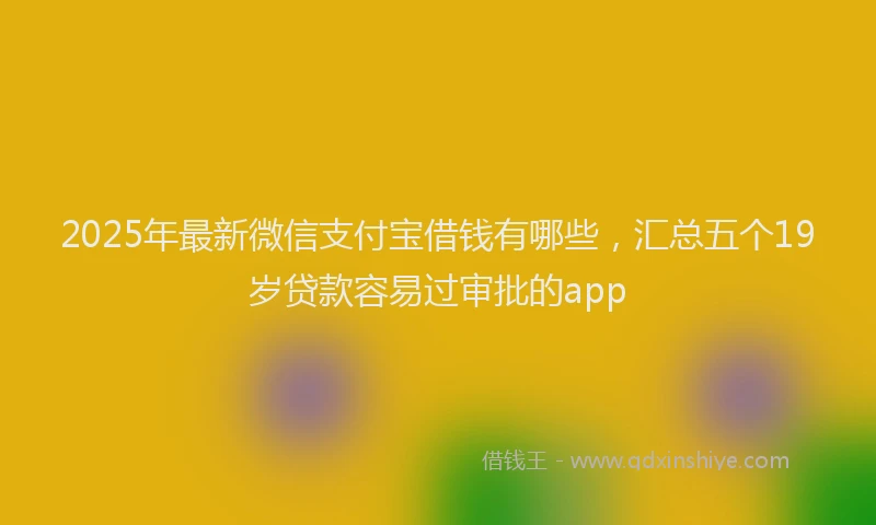 2025年最新微信支付宝借钱有哪些，汇总五个19岁贷款容易过审批的app