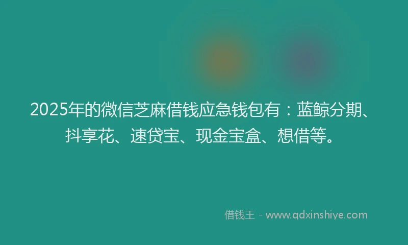2025年的微信芝麻借钱应急钱包有：蓝鲸分期、抖享花、速贷宝、现金宝盒、想借等。