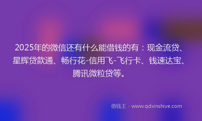 2025年的微信还有什么能借钱的有：现金流贷、星辉贷款通、畅行花-信用飞-飞行卡、钱速达宝、腾讯微粒贷等。