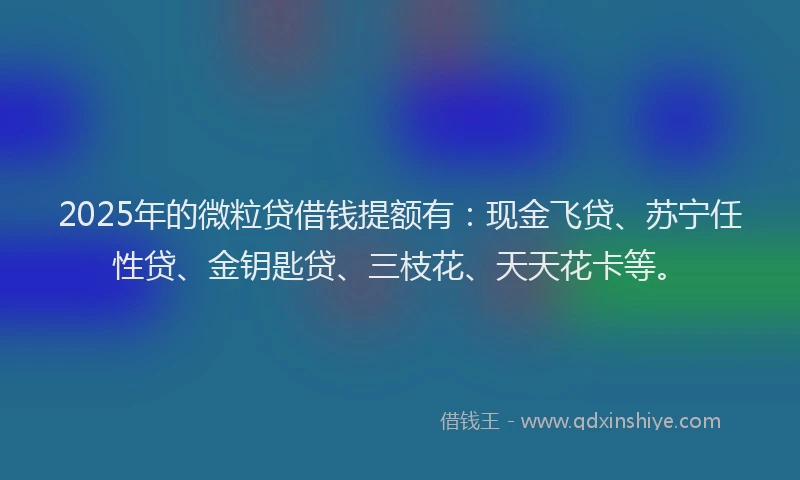 2025年的微粒贷借钱提额有：现金飞贷、苏宁任性贷、金钥匙贷、三枝花、天天花卡等。