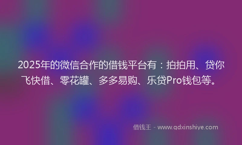 2025年的微信合作的借钱平台有：拍拍用、贷你飞快借、零花罐、多多易购、乐贷Pro钱包等。