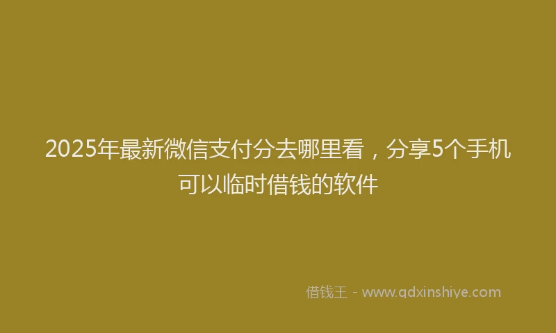 2025年最新微信支付分去哪里看，分享5个手机可以临时借钱的软件