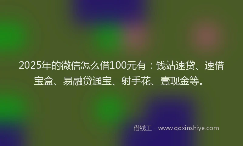 2025年的微信怎么借100元有：钱站速贷、速借宝盒、易融贷通宝、射手花、壹现金等。
