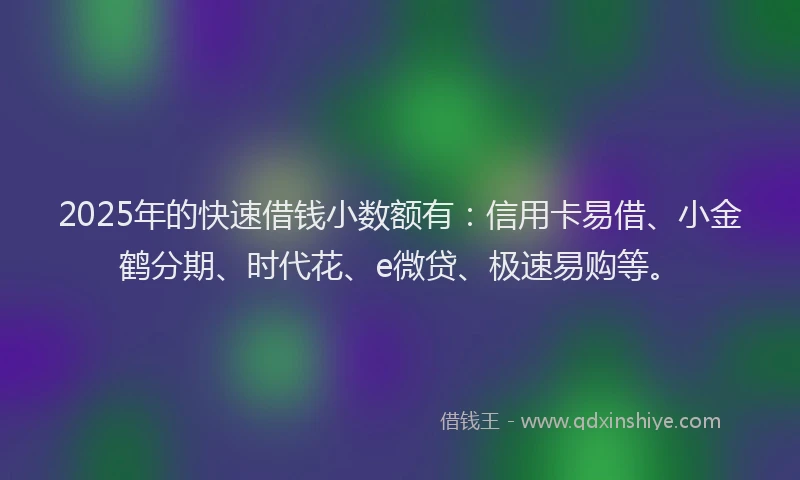 2025年的快速借钱小数额有：信用卡易借、小金鹤分期、时代花、e微贷、极速易购等。