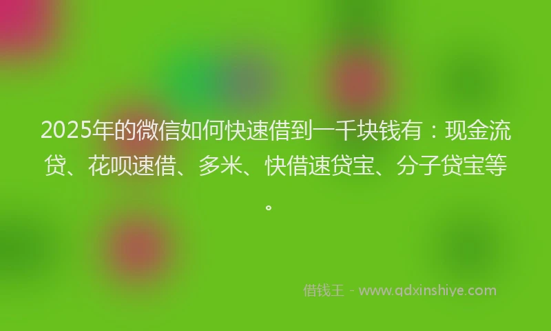 2025年的微信如何快速借到一千块钱有：现金流贷、花呗速借、多米、快借速贷宝、分子贷宝等。