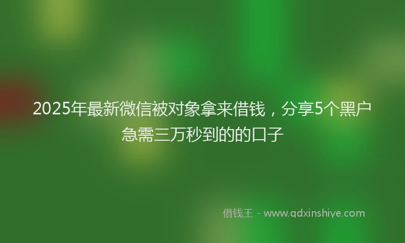 2025年最新微信被对象拿来借钱，分享5个黑户急需三万秒到的的口子