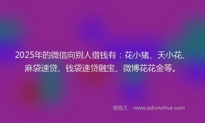 2025年的微信向别人借钱有：花小猪、天小花、麻袋速贷、钱袋速贷融宝、微博花花金等。
