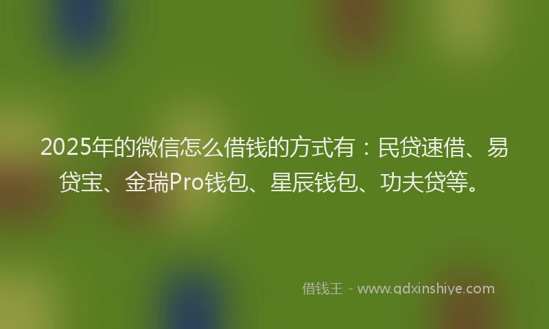 2025年的微信怎么借钱的方式有：民贷速借、易贷宝、金瑞Pro钱包、星辰钱包、功夫贷等。