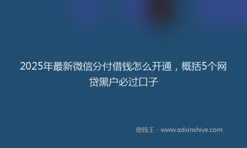 2025年最新微信分付借钱怎么开通，概括5个网贷黑户必过口子