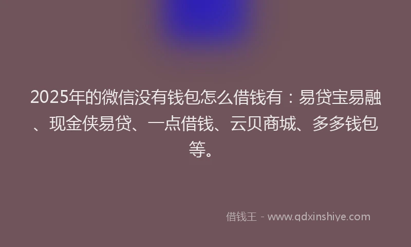 2025年的微信没有钱包怎么借钱有：易贷宝易融、现金侠易贷、一点借钱、云贝商城、多多钱包等。