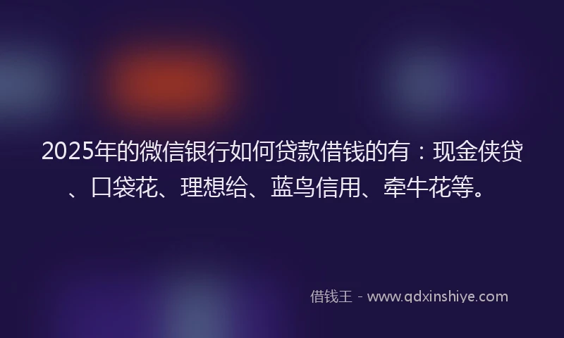 2025年的微信银行如何贷款借钱的有：现金侠贷、口袋花、理想给、蓝鸟信用、牵牛花等。