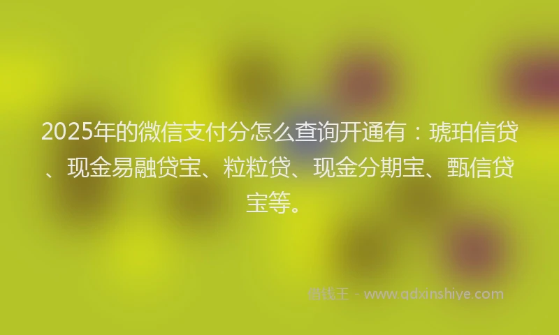 2025年的微信支付分怎么查询开通有：琥珀信贷、现金易融贷宝、粒粒贷、现金分期宝、甄信贷宝等。