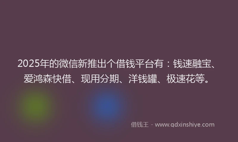 2025年的微信新推出个借钱平台有：钱速融宝、爱鸿森快借、现用分期、洋钱罐、极速花等。