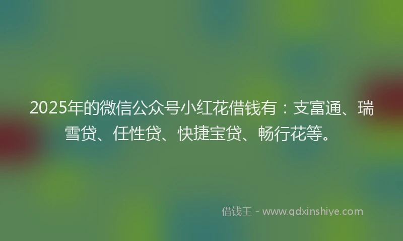 2025年的微信公众号小红花借钱有：支富通、瑞雪贷、任性贷、快捷宝贷、畅行花等。