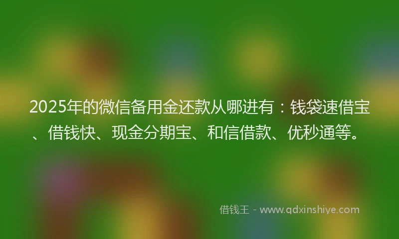 2025年的微信备用金还款从哪进有：钱袋速借宝、借钱快、现金分期宝、和信借款、优秒通等。