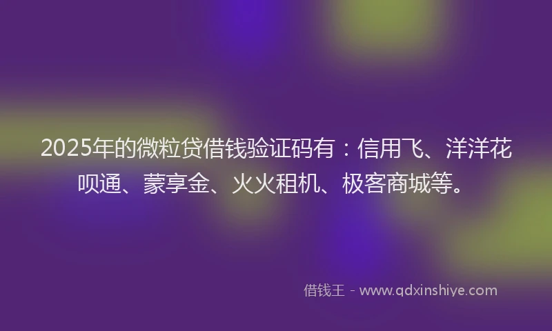 2025年的微粒贷借钱验证码有：信用飞、洋洋花呗通、蒙享金、火火租机、极客商城等。