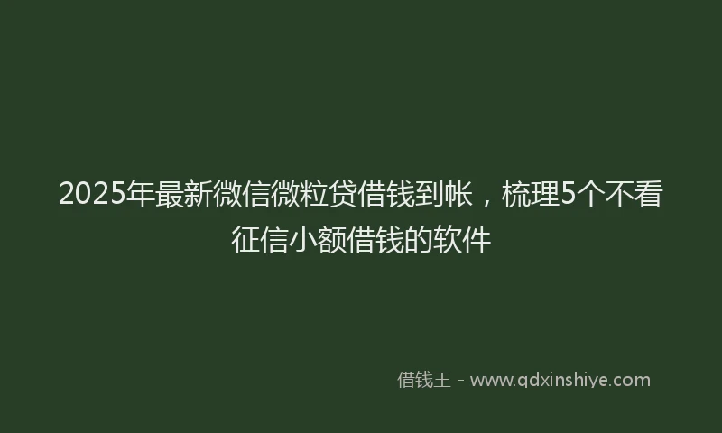 2025年最新微信微粒贷借钱到帐，梳理5个不看征信小额借钱的软件