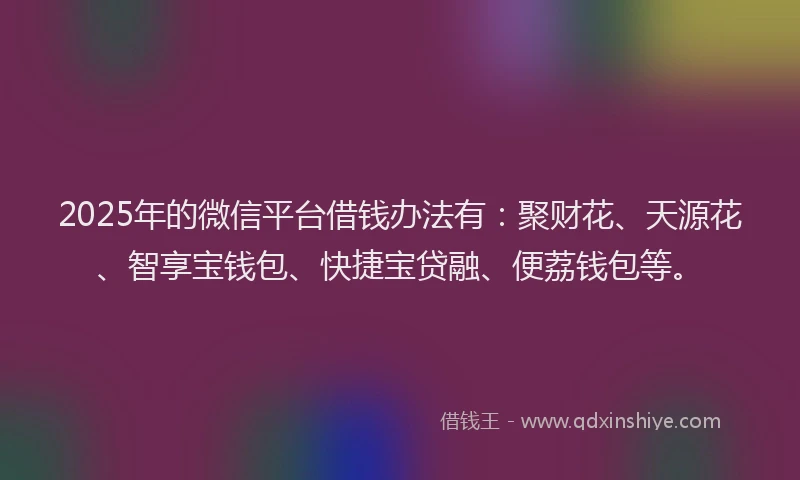2025年的微信平台借钱办法有：聚财花、天源花、智享宝钱包、快捷宝贷融、便荔钱包等。