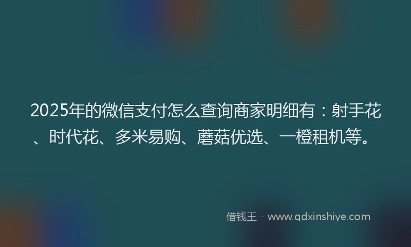 2025年的微信支付怎么查询商家明细有：射手花、时代花、多米易购、蘑菇优选、一橙租机等。