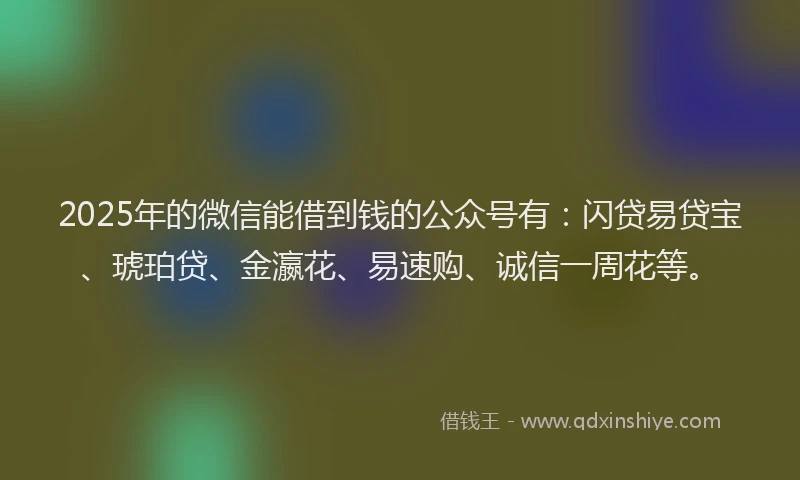 2025年的微信能借到钱的公众号有：闪贷易贷宝、琥珀贷、金瀛花、易速购、诚信一周花等。