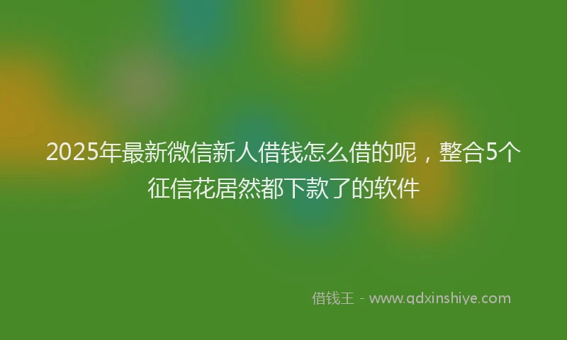 2025年最新微信新人借钱怎么借的呢，整合5个征信花居然都下款了的软件