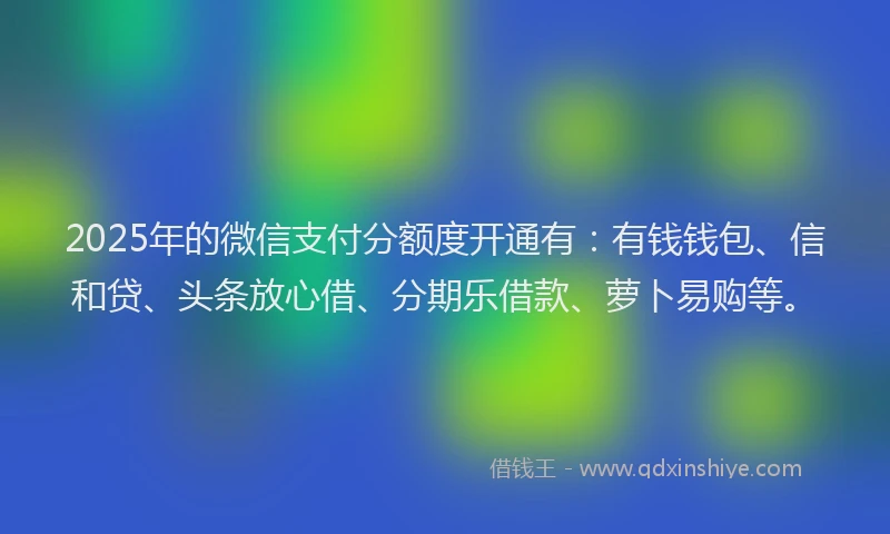 2025年的微信支付分额度开通有：有钱钱包、信和贷、头条放心借、分期乐借款、萝卜易购等。