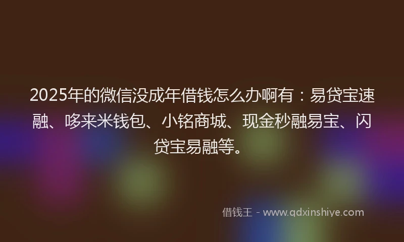 2025年的微信没成年借钱怎么办啊有：易贷宝速融、哆来米钱包、小铭商城、现金秒融易宝、闪贷宝易融等。