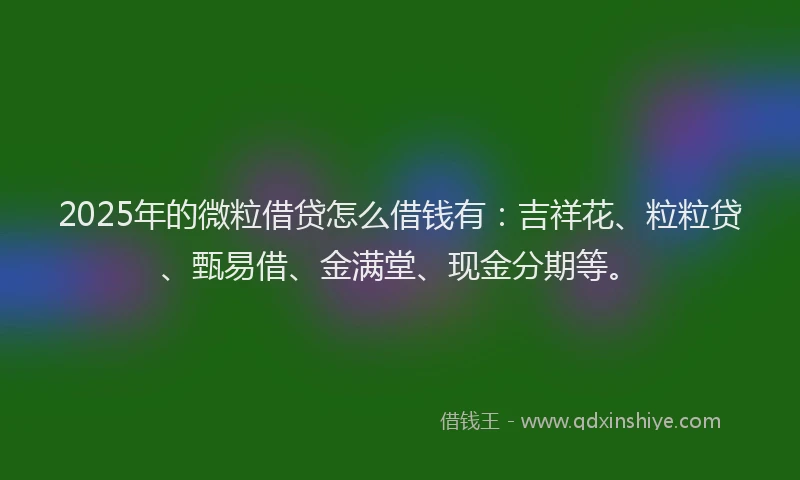 2025年的微粒借贷怎么借钱有：吉祥花、粒粒贷、甄易借、金满堂、现金分期等。