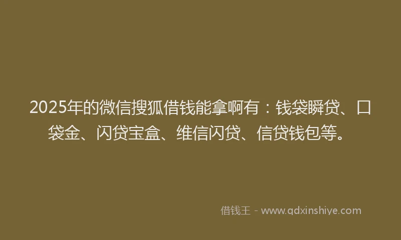 2025年的微信搜狐借钱能拿啊有：钱袋瞬贷、口袋金、闪贷宝盒、维信闪贷、信贷钱包等。