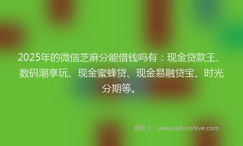 2025年的微信芝麻分能借钱吗有：现金贷款王、数码潮享玩、现金蜜蜂贷、现金易融贷宝、时光分期等。