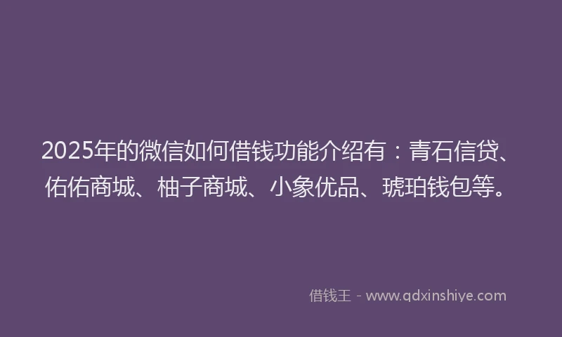 2025年的微信如何借钱功能介绍有：青石信贷、佑佑商城、柚子商城、小象优品、琥珀钱包等。