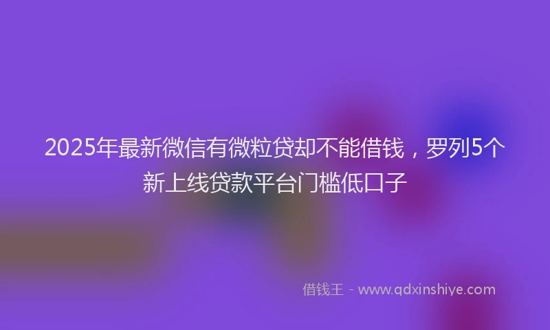 2025年最新微信有微粒贷却不能借钱，罗列5个新上线贷款平台门槛低口子