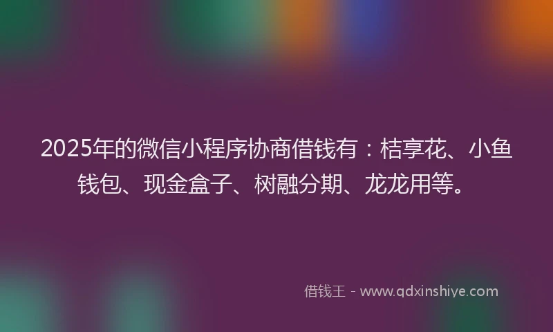 2025年的微信小程序协商借钱有：桔享花、小鱼钱包、现金盒子、树融分期、龙龙用等。