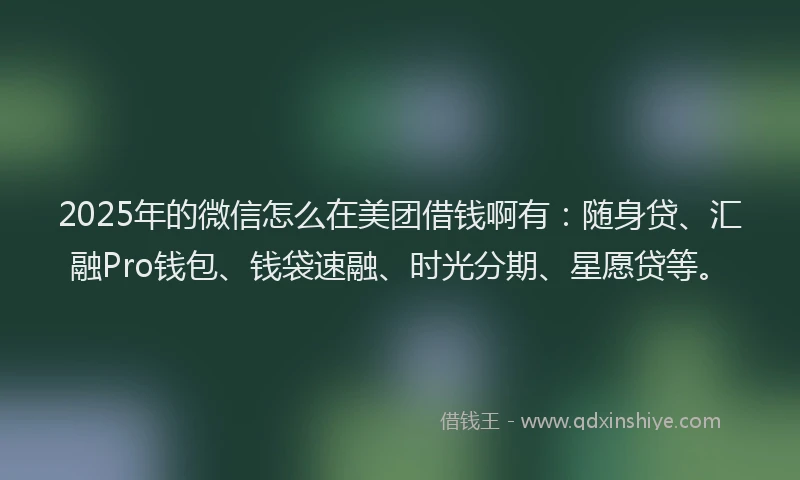 2025年的微信怎么在美团借钱啊有：随身贷、汇融Pro钱包、钱袋速融、时光分期、星愿贷等。